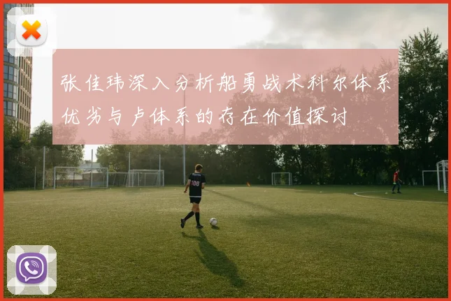 张佳玮深入分析船勇战术科尔体系优劣与卢体系的存在价值探讨