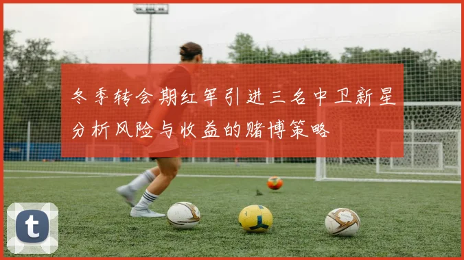 冬季转会期红军引进三名中卫新星分析风险与收益的赌博策略
