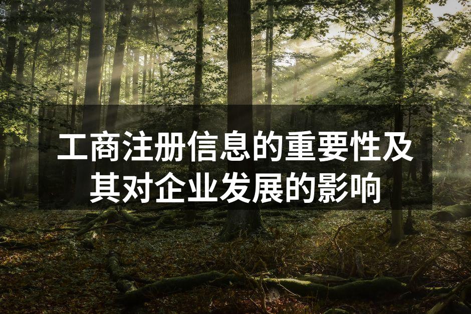 工商注册信息的重要性及其对企业发展的影响