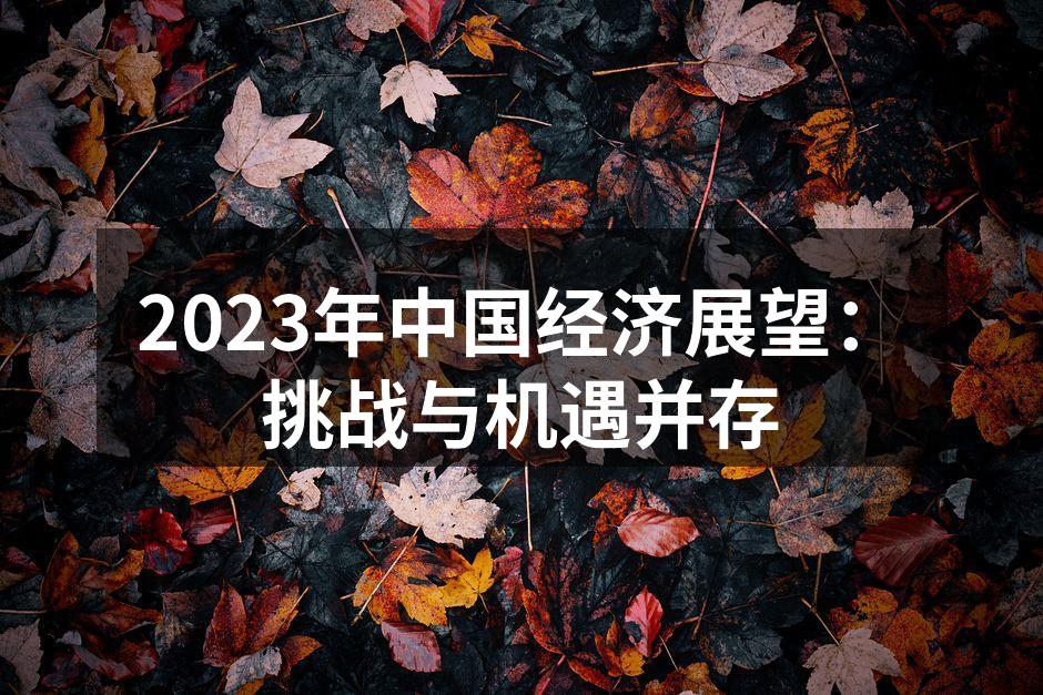 2023年中国经济展望：挑战与机遇并存