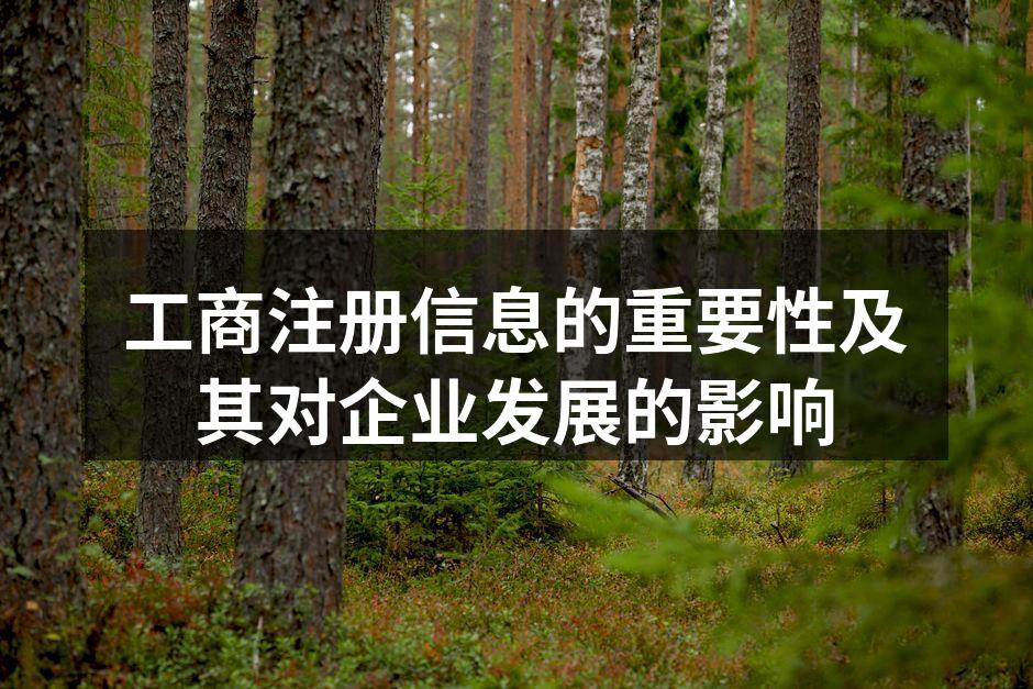 工商注册信息的重要性及其对企业发展的影响