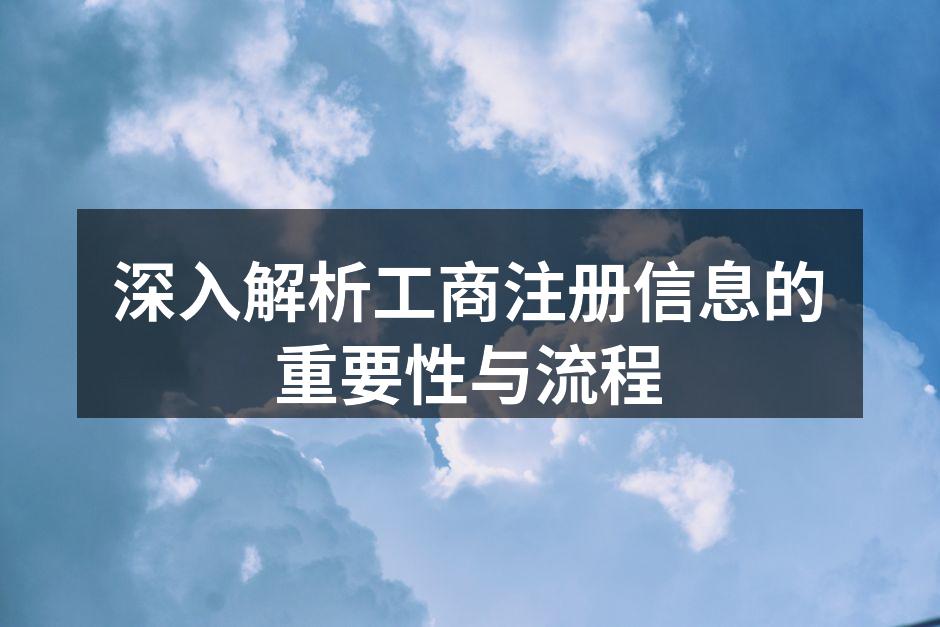 深入解析工商注册信息的重要性与流程