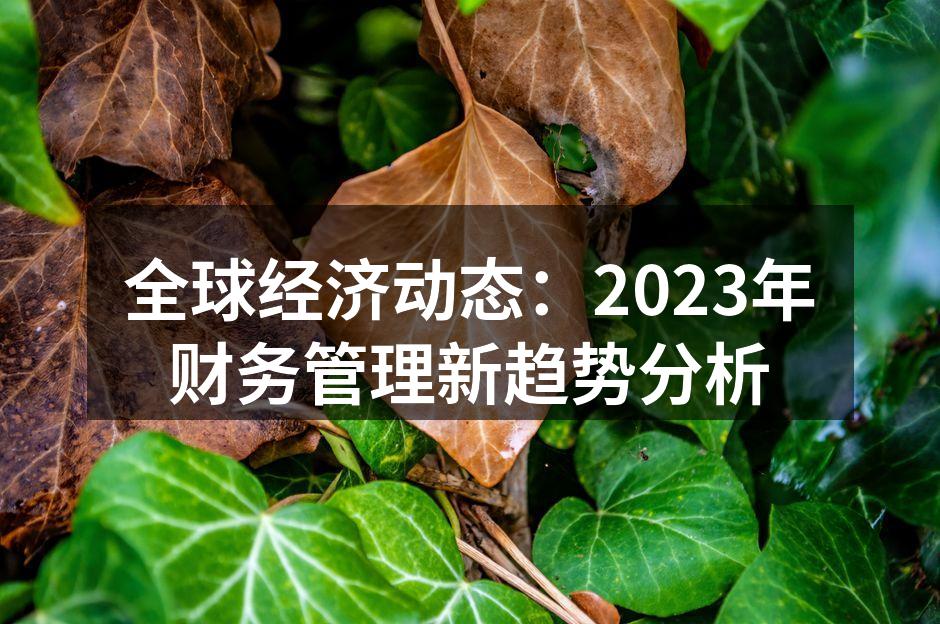 全球经济动态：2023年财务管理新趋势分析