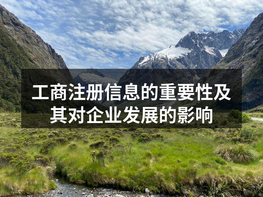 工商注册信息的重要性及其对企业发展的影响