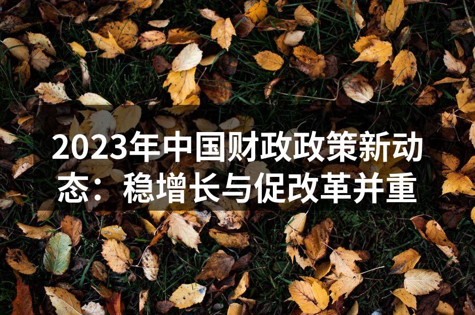 2023年中国财政政策新动态：稳增长与促改革并重