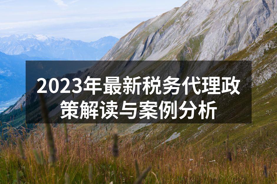 2023年最新税务代理政策解读与案例分析