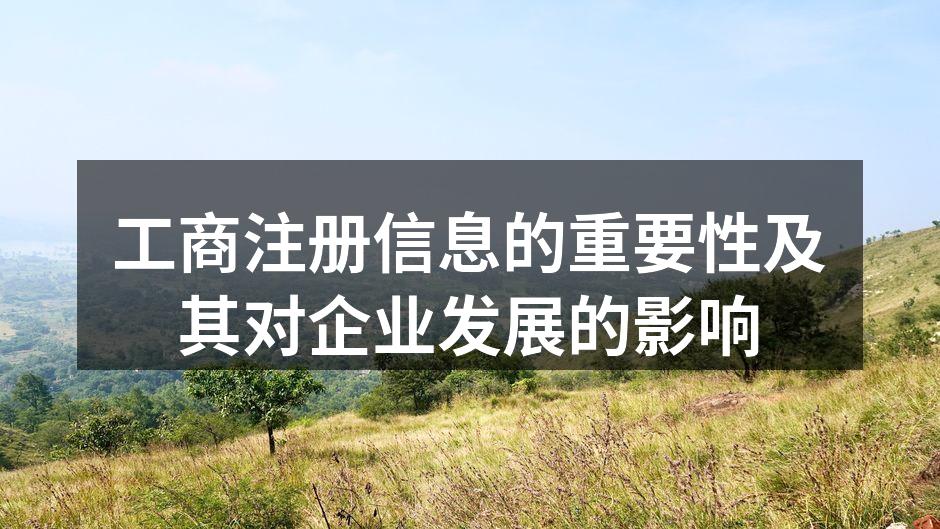 工商注册信息的重要性及其对企业发展的影响
