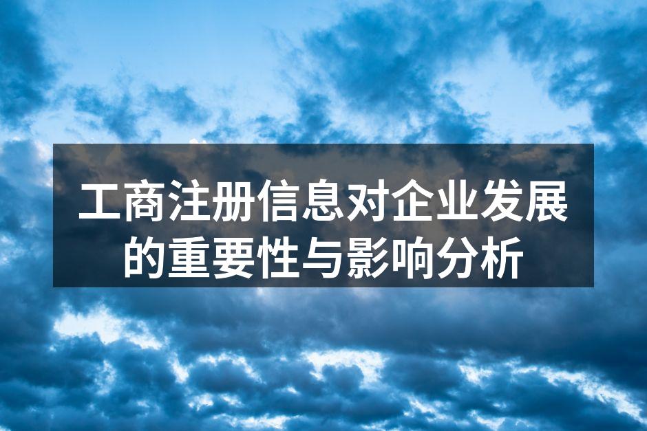 工商注册信息示例